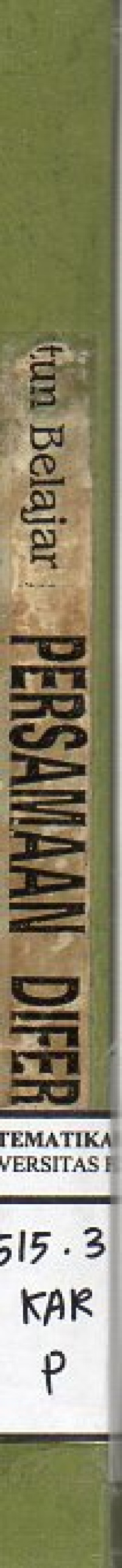 Image of Persamaan Diferensial