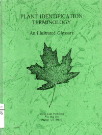 Plant IndetifIcation Terminology