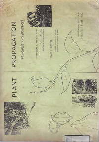 Image of Plant Propo Gatton