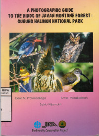 Image of A Photographic Guide To The Birds Of Javan Montane