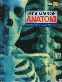 AT A GLACE ANATOMI