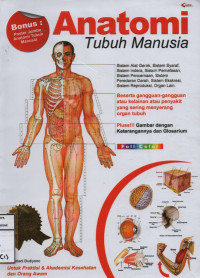 Anatomi Tubuh Manusia