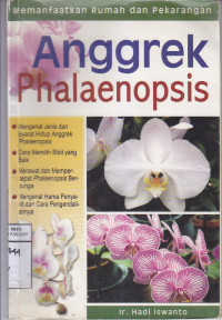 Image of Anggrek Phalaenopsis