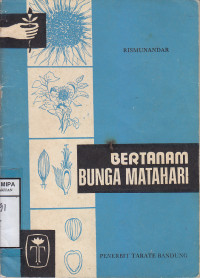 Bertanam Bunga Matahari