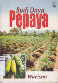Image of Budi Daya Pepaya