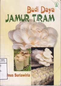 Budi Daya Jamur Tiram