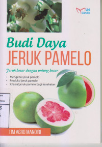 Budi Daya Jeruk Pamelo