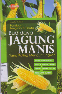 Panduan Lengkap & Praktis Budidaya Jagung Manis yang Paling Menguntungkan