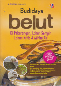 Budidaya belut di pekarangan,lahan sempit,lahan kritis  & minim air