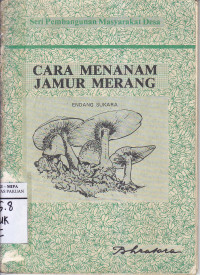Image of Cara Menanam Jamur Merang