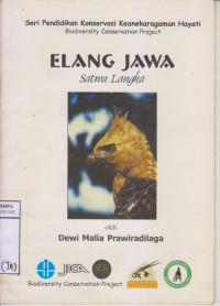 Elang Jawa Satwa Langka