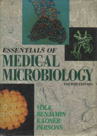 Image of Essentials Of Medical Microbiology Fourth Edition