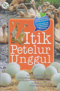 Itik Petelur Unggul