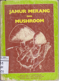 Image of Jamur Merang dan Mushroom