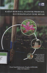 Kajian Budidaya, Statistik Produksi, dan Pemanfaatan Temu Hitam