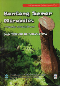 Kantong Semar Mirabilis (Nepenthes mirabilis Druce)