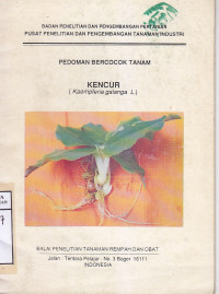 Image of Pedoman Bercocok Tanam Kencur