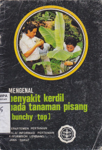 Image of Mengenal Penyakit Kerdil Pada Tanaman Pisang Bunchy Top