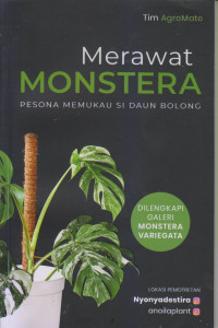 Merawat Monstera Pesona Memukau Si Daun Bolong