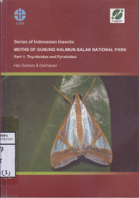 Image of Moths of Gunung Halimun Salak National Park