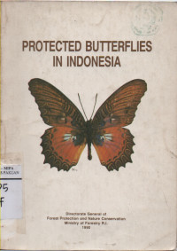Image of Protected Butterflies In Indonesia