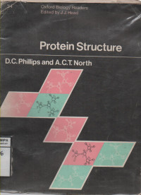 Protein Structure