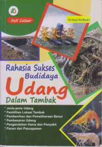 Rahasia Sukses Budidaya Udang Dalam Tambak