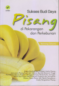 Sukses Budi Daya Pisang di Pekarangan dan Perkebunan