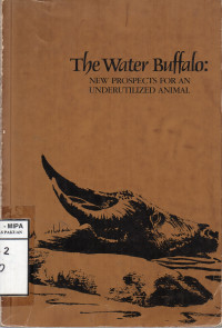 Image of The Water Buffalo