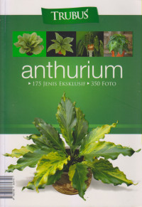 ANTHURIUM