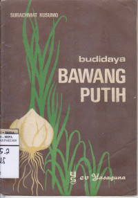 Budidaya Bawang Putih